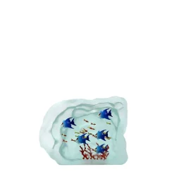 Vessière Cristaux Animaux Cristal|Décoration|Aquarium poissons verre – yves trucchi