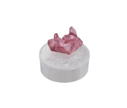 Vessière Cristaux Boites Cristal|Boite daum jardin imaginaire