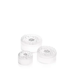 Vessière Cristaux Coupes, Coupelles Et Photophores|Vide-Poches Cristal|Boîte Dahlia Lalique