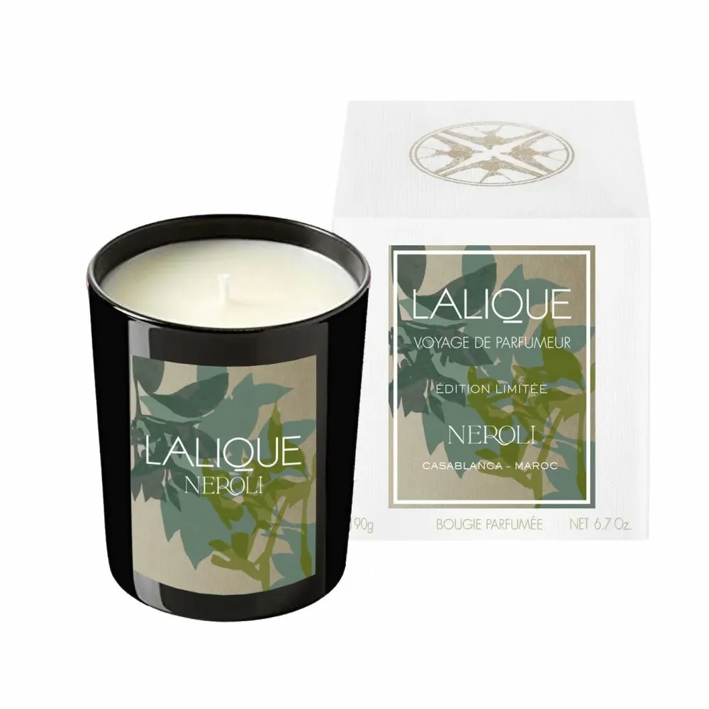 Vessière Cristaux Coupes, Coupelles Et Photophores|Bougies Lalique|Bougie parfumée néroli Casablanca Lalique