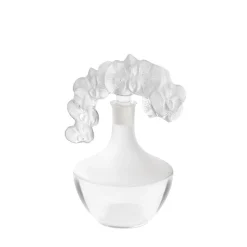 Vessière Cristaux Art De La Table|Carafes Cristal Daum Baccarat Lalique|Carafe orchidée lalique