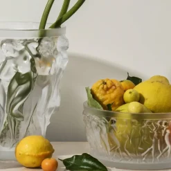 Vessière Cristaux Coupes Cristal|Coupe bacchantes lalique