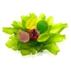 Vessière Cristaux Editions D’Art|Coupes Cristal|Coupe et Fruits Gilles Neveu Daum