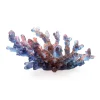 Vessière Cristaux Coupes Cristal|Coupe mm bleu rouge mer de corail daum