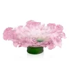 Vessière Cristaux Coupes Cristal|Coupe sur pied rose Daum