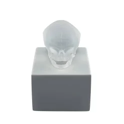 Vessière Cristaux Sculptures Cristal|Sculptures Et Figurines|Crâne eternal Memory Damien Hirst & Lalique 2017 cire perdue