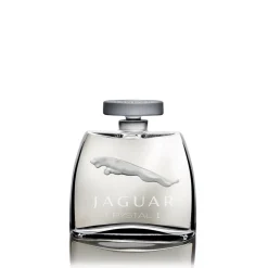Vessière Cristaux Flacons De Parfum|Édition cristal jaguar cristal i lalique