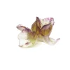 Vessière Cristaux Fleurs Cristal|Fleur violette iris daum