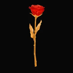 Vessière Cristaux Fleurs Cristal|Sulfures, Presse-Papiers Cristal|La rose éternelle daum