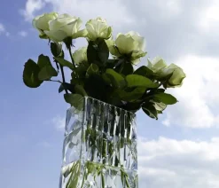 Vessière Cristaux Vases Cristal Clair|Vases|Louxor vase diamant baccarat