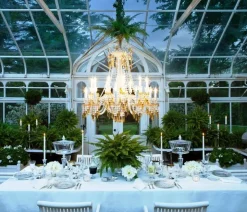 Vessière Cristaux Coupes, Coupelles Et Photophores|Coupes Cristal|Mille nuits bonbonnière basse baccarat