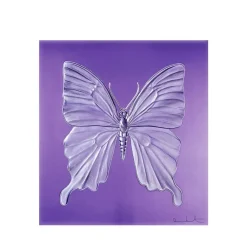 Vessière Cristaux Sculptures Et Figurines|Sculptures Cristal|Papillon eternal Beauty Damien Hirst & Lalique 2015