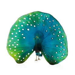 Vessière Cristaux Editions D’Art|Bestiaire|Parade du paon daum par madeleine van der knoop