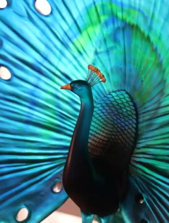 Vessière Cristaux Editions D’Art|Bestiaire|Parade du paon daum par madeleine van der knoop