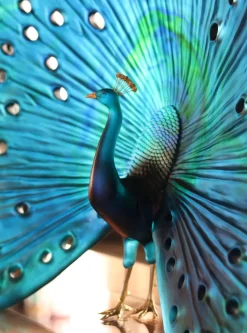 Vessière Cristaux Editions D’Art|Bestiaire|Parade du paon daum par madeleine van der knoop