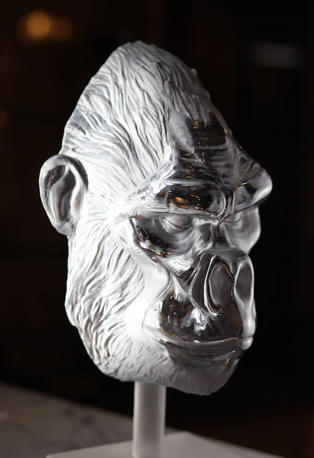Vessière Cristaux Éditions D’Art Cristal|Bestiaire|Tête de Gorille poli pâte de cristal par Loïc Ortega