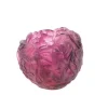 Vessière Cristaux Vases|Vases Cristal Couleur|Vase rouge violet bouquet daum