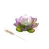 Vessière Cristaux Vases|Vases Cristal Couleur|Vase soliflore Vert Rose Jardin de lotus Daum